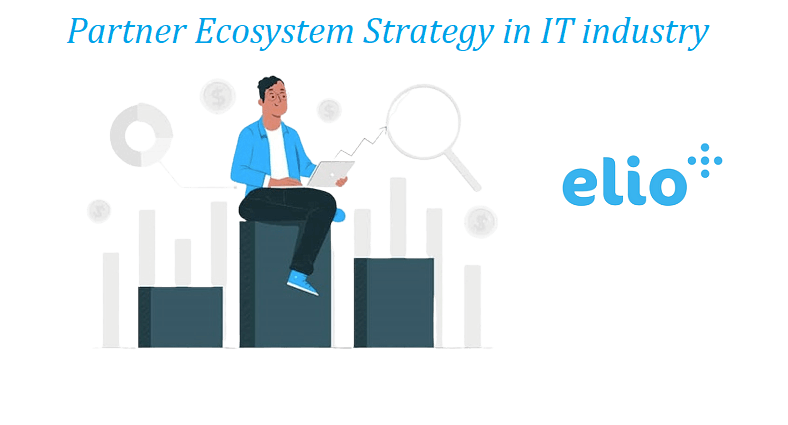 partner ecosystem strategy