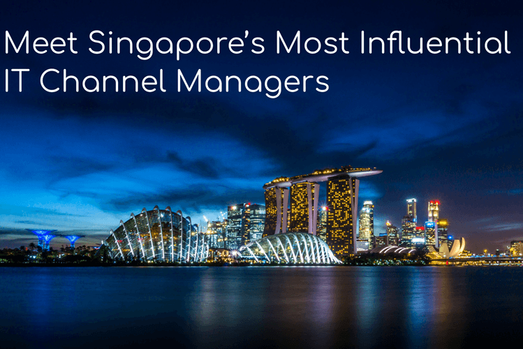 singapore it channel managers